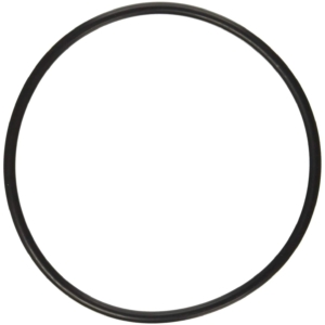 Hayward SPX8100S – O-Ring for PowerFlo II Strainer Cover