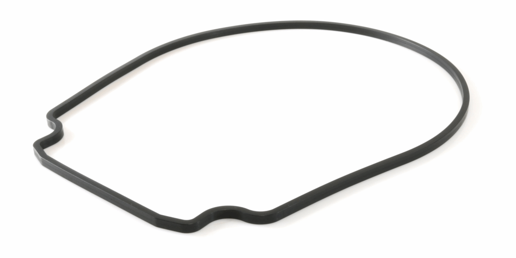 Pentair R357100 – Seal Plate Gasket for WhisperFlo & IntelliFlo Pumps (Black) - 1