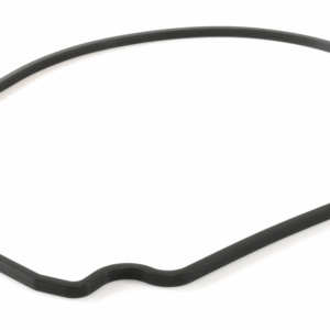 Pentair R357100 – Seal Plate Gasket for WhisperFlo & IntelliFlo Pumps (Black)